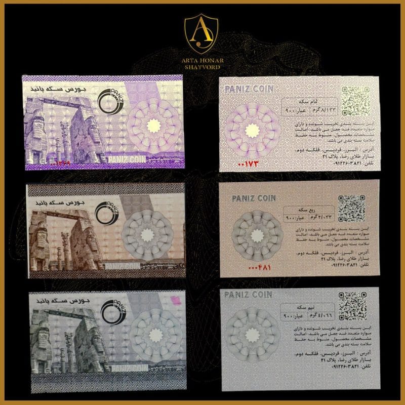 کارت سکه امنیتی پانیذ